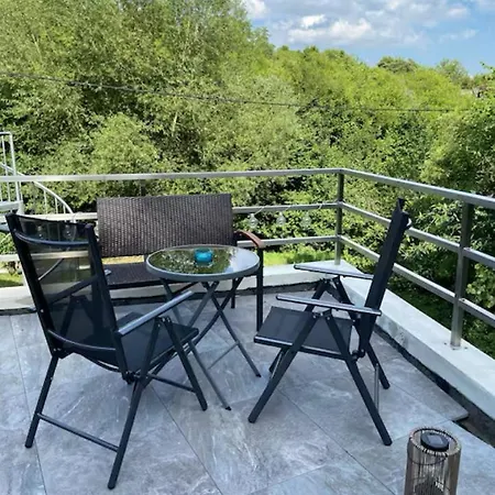 Im Wald Daire Gleiszellen-Gleishorbach