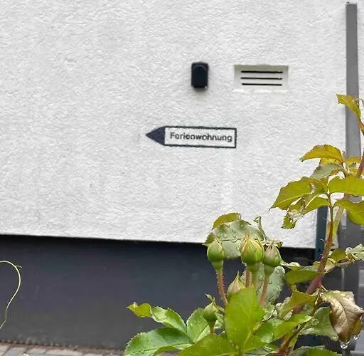 Im Wald Gleiszellen-Gleishorbach